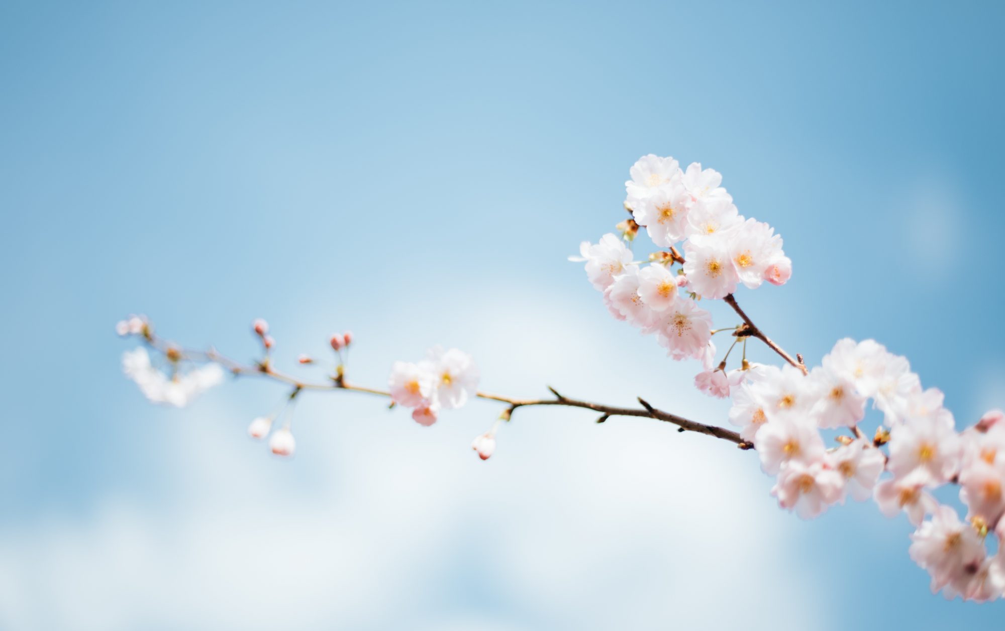 Sligo Acupuncture Clinic